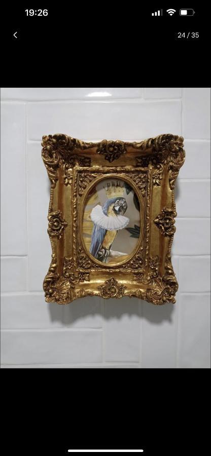 アルメリアCoqueto Loft En La Playaアパートメント エクステリア 写真